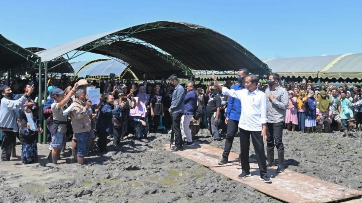 Jokowi saat berkunjung ke Blora