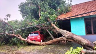 Angin Kencang Menerjang Kendal, 26 Rumah Rusak