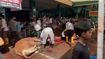 51 Sapi dan 37 Kambing telah Disembelih di Masjid Jogokariyan Yogyakarta