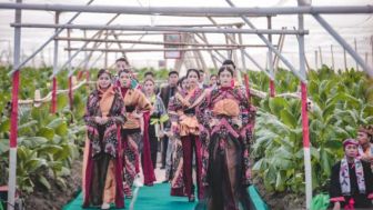 Demam Citayam Fashion Week Menular ke Daerah, Jember Adakan Fashion Show di Tengah Kebun Tembakau