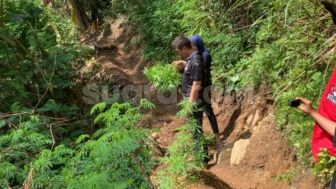 Ada Kebun Ganja 10 Hektar di Perhutani Cianjur, Polisi Tetapkan Seorang Tersangka