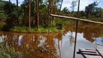 Horor! Pulau Begansar di Kalimantan Bergerak Sendiri Terekam Kamera