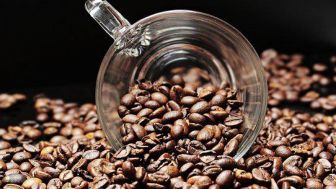 Perbedaan Kopi Robusta dan Arabika, Mana yang Lebih Baik?