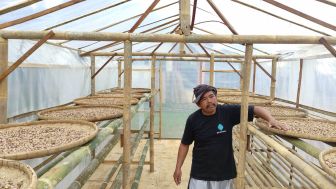 Melihat Teknologi Rumah Pengeringan di Desa Majatengah, Solusi Menjemur Kapulaga di Kala Hujan