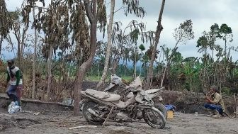 BNPB Minta Masyarakat Terdampak Erupsi Semeru Tetap Waspada Saat Evakuasi Barang dan Ternak