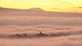 Pesona Punthuk Setumbu, Menikmati Borobudur dari Ketinggian