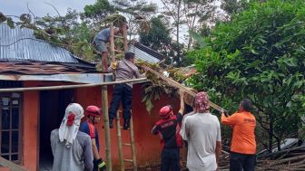 Aneh! Pohon Jati Raksasa Tumbang Timpa Rumah Warga Purbalingga