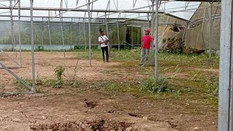 Warga Sokawera Banyumas, Minta Lahan Mangkrak Green House Bisa Dimanfaatkan