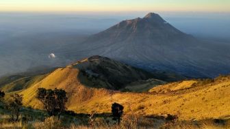 Pendakian Gunung Merbabu, Menikmati Panorama Alam Sampai ke Puncak Kenteng Songo