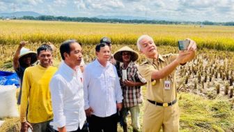 Kebumen Panen Raya Padi, Produktivitas Meningkat