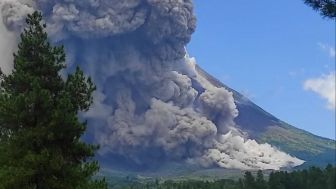 BPPTKG Catat Gunung Merapi Luncurkan Guguran Lava 106 Kali dalam Sepekan : Begini Detailnya