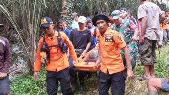 Hilang di Kebun Salak, Suwardi Warga Prigi Banjarnegara Ditemukan Selamat di Kebun Salak