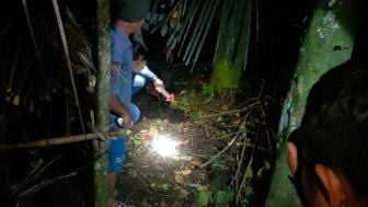 Warga Purbalingga Tewas Jatuh dari Pohon Nangka Setinggi 10 Meter