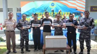 Lanal Cilacap Gagalkan Penyelundupan Ribuan Baby Lobster Senilai Rp 140 Juta ke Jawa Barat, Dua Kurir Ditangkap