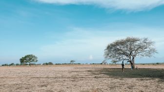 Africa van Java Oase Wisata di Utara Jawa Timur, Begini 4 Tips untuk Akses Kunjungannya