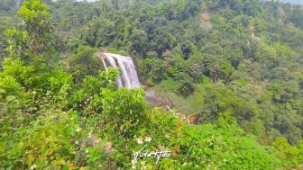 Berjarak 50 Kilometer dari Pusat Kota Kendal, Air Terjun Ini Menyimpan Surga Tersembunyi : Cek Lokasinya