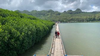 Menikmati Sensasi Wisata di Alam Rimba Hutan Mangrove Ayah