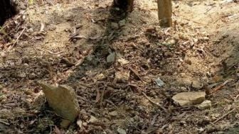 Makam Misterius Mendadak Muncul di Pekarangan Warga Kebumen