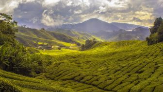 Cuma 82 Km dari Bandara Internasional Juanda, Wisata Alam Perbukitan yang Ada di Kabupaten Gresik Ini Punya Dua Landscape Berbeda: Ada Tempat Kemahnya