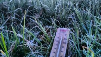 Viral! Dieng Banjarnegara Kembali Membeku Hingga Minus 3,5 Derajat Celcius