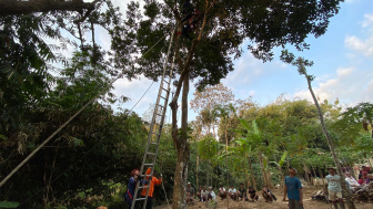 Pria di Borobudur Terjebak di Atas Pohon, Lemas saat Dievakuasi Tim SAR