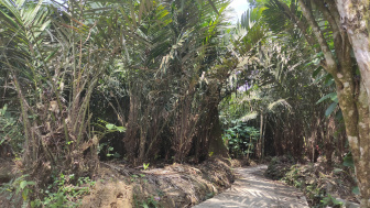 Pemandangan Bekas Kampung yang Lenyap karena Bencana di Banjarnegara, Ratusan Warganya Tewas