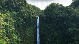 Sekitar 53,2 Km dari Bandara Internasional Banyuwangi, Destinasi Alam Nan Indah di Glenmore Ini Simpan Keindahan Tersembunyi: Warga Jatim Wajib Tahu !