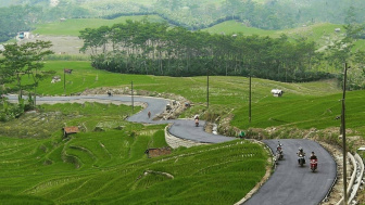 Hanya 20 Km dari Alun-alun Banjarnegara, View Keren Jalan Membelah Sawah di Puncak Perbukitan