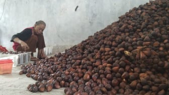 Kemarau, Harga Salak di Banjarnegara Melambung