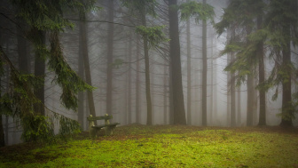 Berjarak 17 Km dari Alun-alun Kuningan, Wisata Ini Tawarkan Keindahan Hutan Pinus yang Menawan