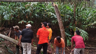 Rumah Warga Jembangan Banjarnegara Rusak Tertimpa Pohon