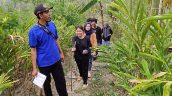 Pemetaan di Desa Majatengah, Mahasiswa KKN-T UNDIP Temukan Tanaman Langka untuk Obat