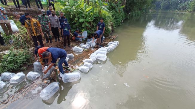 Pulihkan Biota Sungai Serayu Pasca Flushing, PT Indonesia Power Tebar 120 Ribu Bibit Ikan dan Sidat