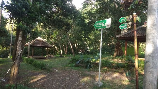 Hutan-hutan Angker di Jawa Timur Ini Dijadikan Wisata Mistis, untuk Ritual Santet?