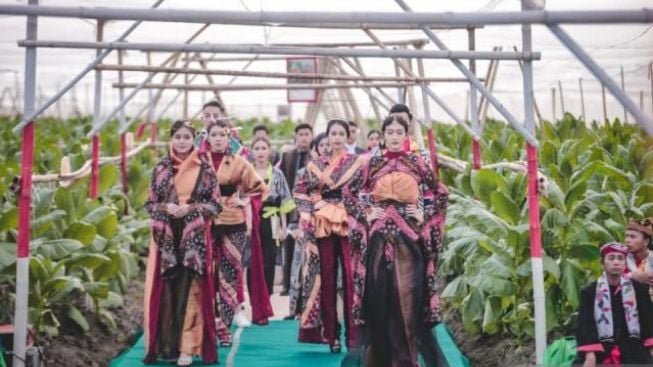 Demam Citayam Fashion Week Menular ke Daerah, Jember Adakan Fashion Show di Tengah Kebun Tembakau