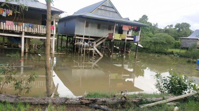 Tanggul Jebol, Satu Desa di Konawe Sulteng Terendam Banjir