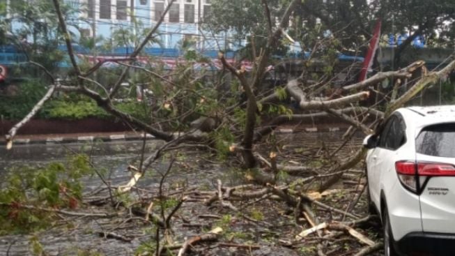 Angin Kencang Landa Kota Malang, 4 Orang Luka-luka dan 48 Bangunan Rusak