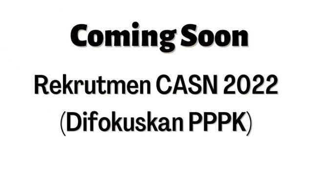 Pendaftatan CPNS 2022 Segera Dibuka, Formasi dan Apa Saja Persyaratannya?