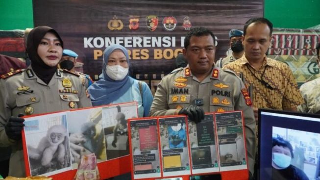 Mau Jual Owa Jawa Rp 5 Juta, Dua Warga Ditangkap Polres Bogor