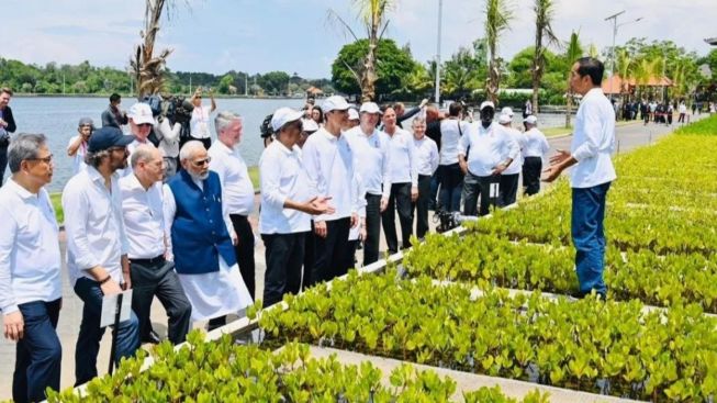 Bukti Jokowi Serius Ingin Jadi Aktivis Lingkungan, Ajak Pemimpin Dunia Tanam Mangrove di Bali