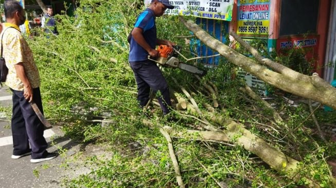 Siswa SMP di Cilacap Tewas Tertimpa Pohon Tumbang, Evaluasi Pohon Peneduh Rentan Roboh