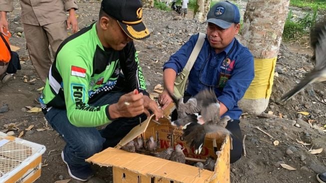 Amankan Ratusan Burung Selundupan, Begini Cara BKSDA Jatim Bantu Balai Karantina Ketapang