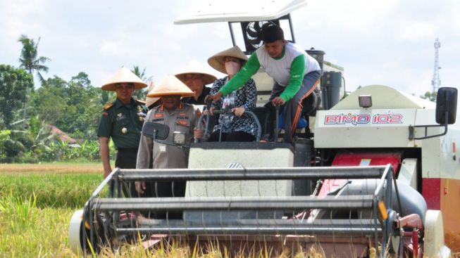 Ironi Cilacap Surplus Beras, Tapi Harga di Pasar Mahal