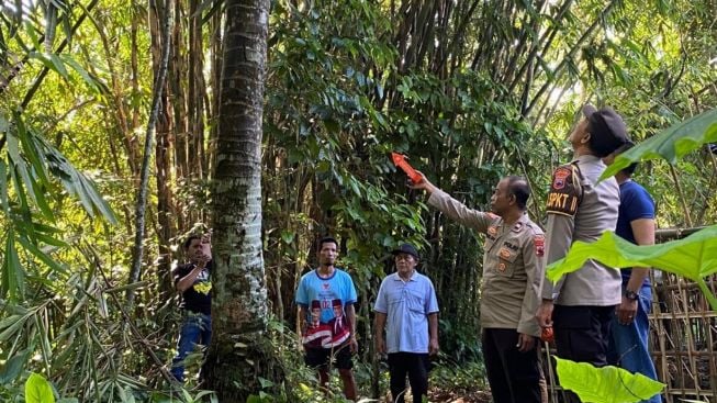 Tetes Nira Terakhir Minarji, Penderes Asal Purbalingga yang Tewas Jatuh dari Pohon Kelapa