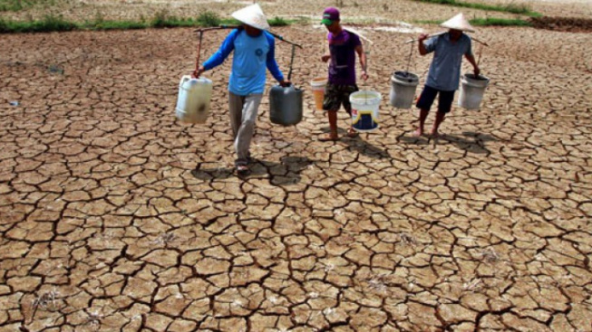 BMKG Prediksi Puncak El Nino Pada Agustus Hingga September, Ini Dampak ...