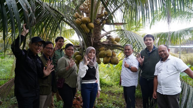 Satu-satunya Kebun Kelapa Kopyor Ternyata Ada di Daerah Ini, Warga Banyumas Tahu?