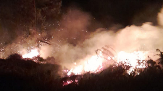 Breaking News, Bukit Sipandu di Batur Banjarnegara Terbakar