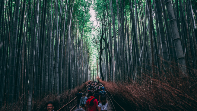 Sengaja Diubah Jadi Tempat Wisata, Lahan Bekas TPA Surabaya Ini Disebut Mirip Hutan Bambu Sagano di Jepang: Jaraknya Cuma 11,9 Km dari Tugu Pahlawan!