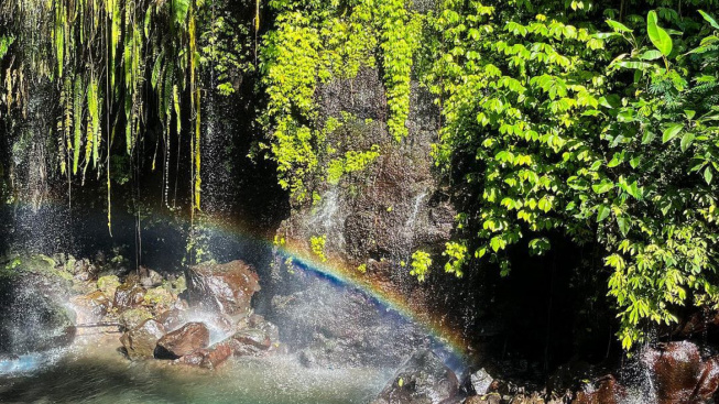 Cuma 18 Km dari Purwokerto, Jelajahi Hidden Gem Penuh Pesona Taman Surga Ini