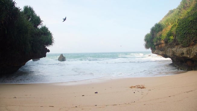 Berjarak 62 Km dari Malioboro, Pantai Ini Jadi Lokasi Camp Terbaik, Hidden Gem Gunung Kidul